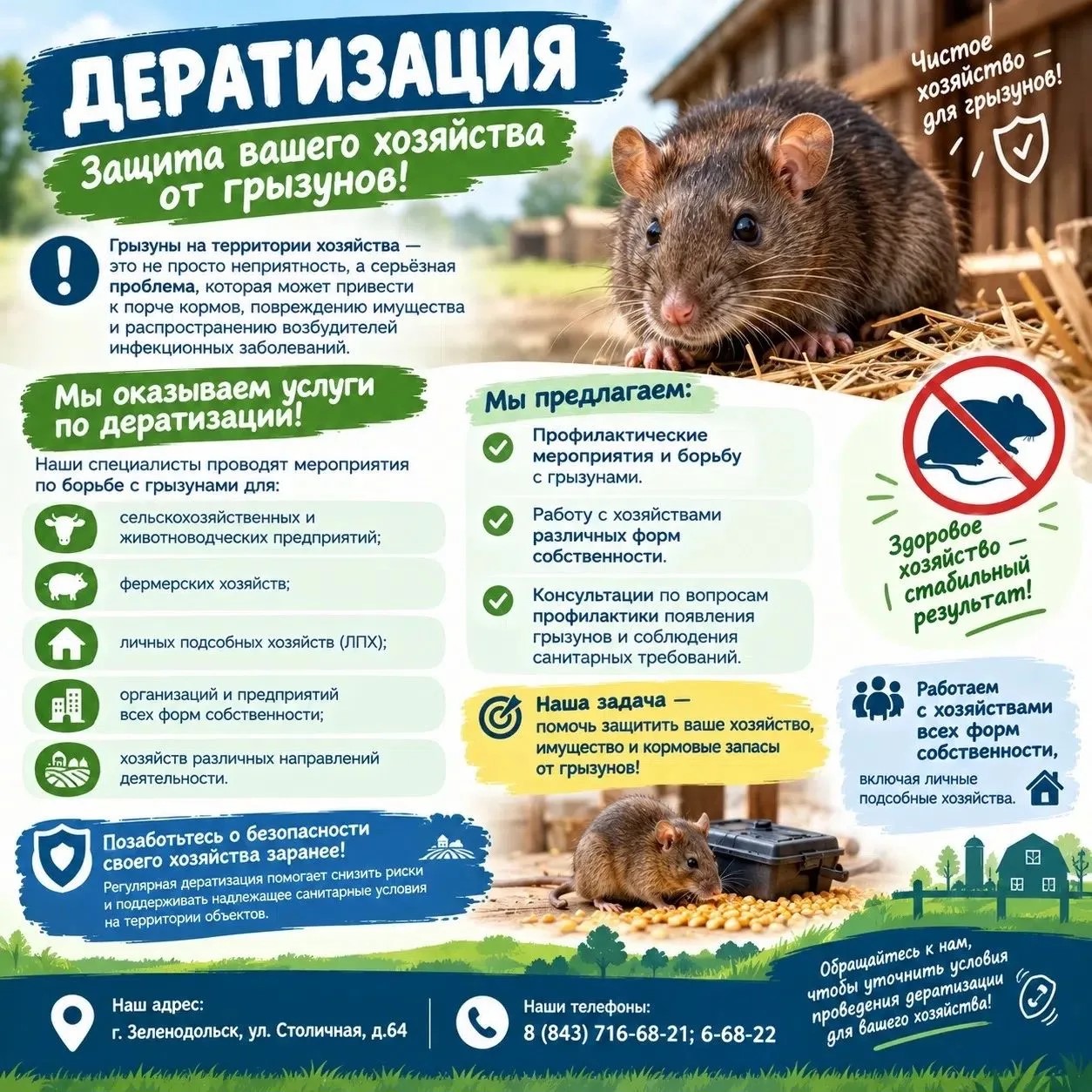 Защита вашего хозяйства от грызунов